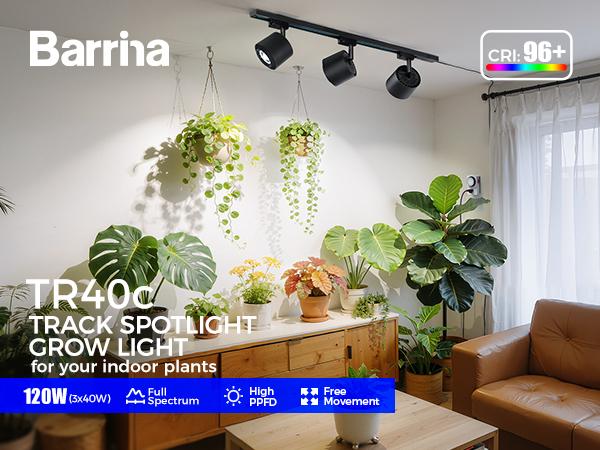 Barrina TR40c Track Grow Light System for Indoor Plants, 3 x 40W Heads, 5000K Full Spectrum Ceiling Grow Spotlight with 15°-60° Adjustable Beam Angle for Greenhouse with Timer, Black H-Type Rail Barrina TR40c Track Grow Light System for Indoor Plants, 3 x 40W Heads, 5000K Full Spectrum Ceiling Grow Spotlight with 15°-60° Adjustable Beam Angle for Greenhouse with Timer, Black H-Type Rail