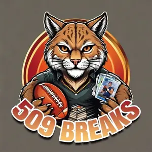 509 Breaks