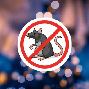 NO RATS Hard Hat Sticker | Funny Blue Collar Union Pride Decal for Electrician, Welder & Ironworker.