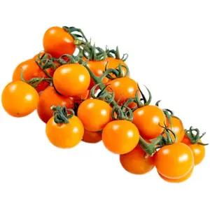 For 2025 Cherry Tomato Seeds for Planting Non GMO Garden Seeds for Planting Vegetables Seed at Home Vegetable Garden 100Pcs
