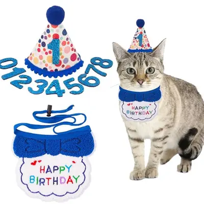 thumbnail image 2 of Oh The Places You'll Go Photography Backdrop The Cat In The Hat Dr Seuss Castle Photo Background Banner Kids Birthday Party Deco 2 of 10