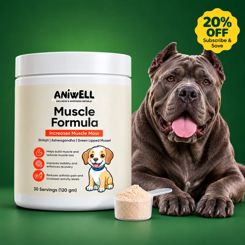 Aniwell Muscle Formula : Hip and Joint Multivitamin Supplement for Dogs