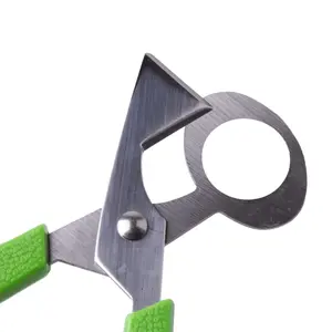 Quail Egg Scissors - Precision Scissors for Clean & Easy Quail Egg Opening