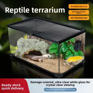 Ultra Clear Glass Reptile Tank for Terrarium and Aquarium, Ideal for Reptile and Insect Habitat, Rainforest Landscape Display, Animal Enclosure