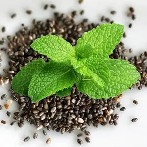 Organic Peppermint Seeds for Herb Garden - Seeds