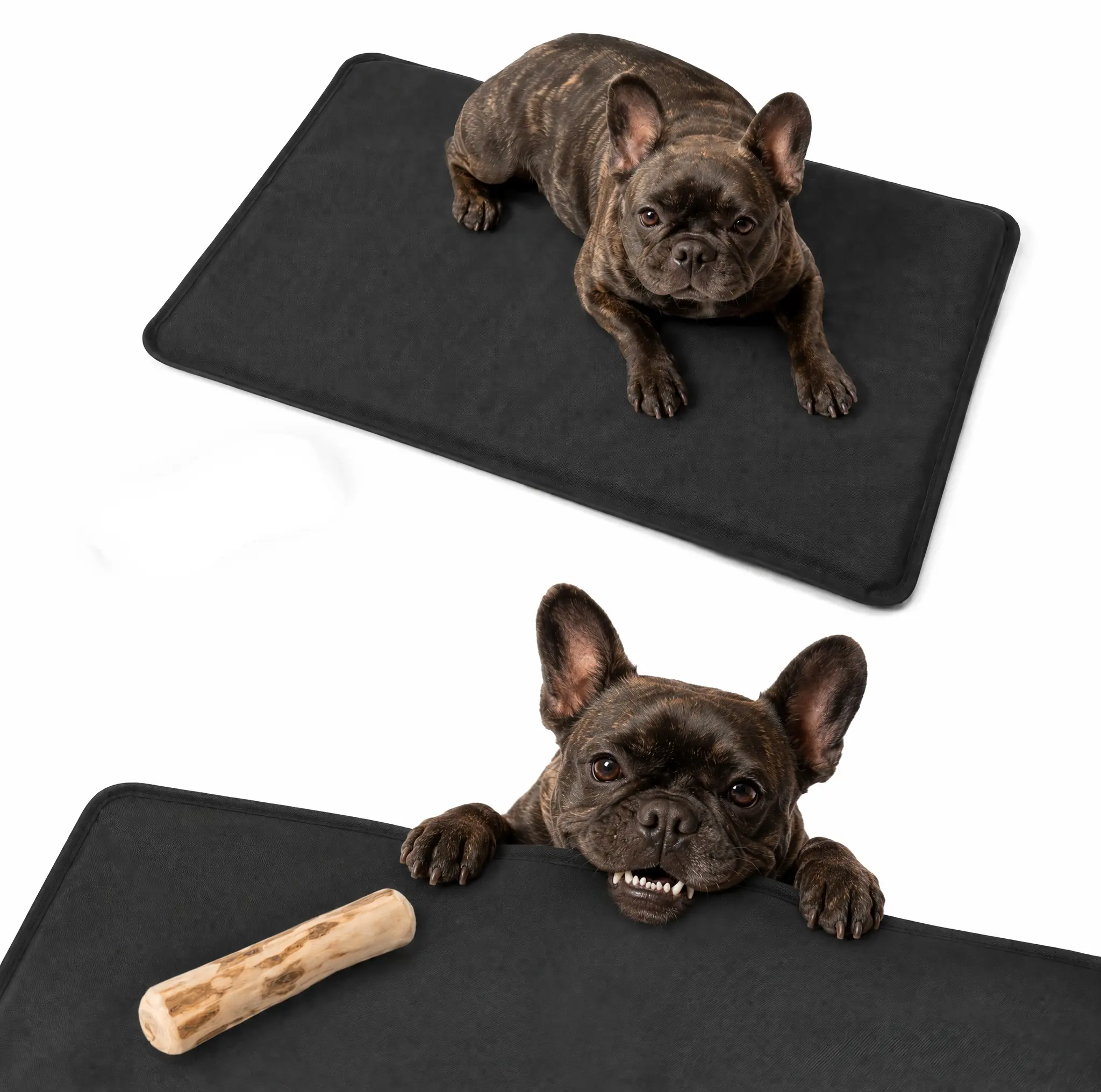 RYNVALE STUDIO Small Chew-Proof Indestructible Dog Crate Mat, Waterproof Machine-Washable Durable Kennel Bed Mat for Teething Puppies, Black