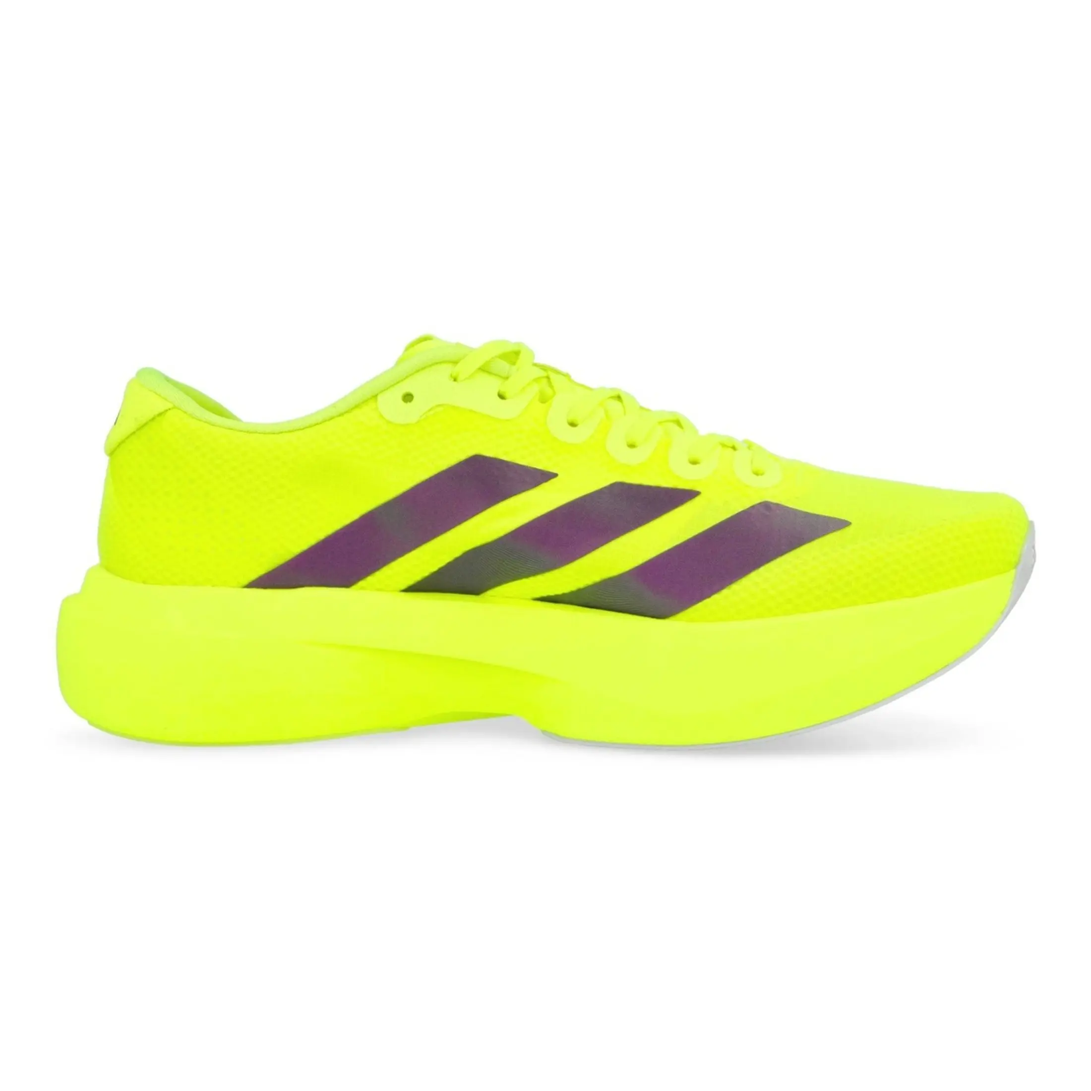 Adidas Adizero Evo SL Solar Yellow Plum JR2024 Men's Fashion Shoes