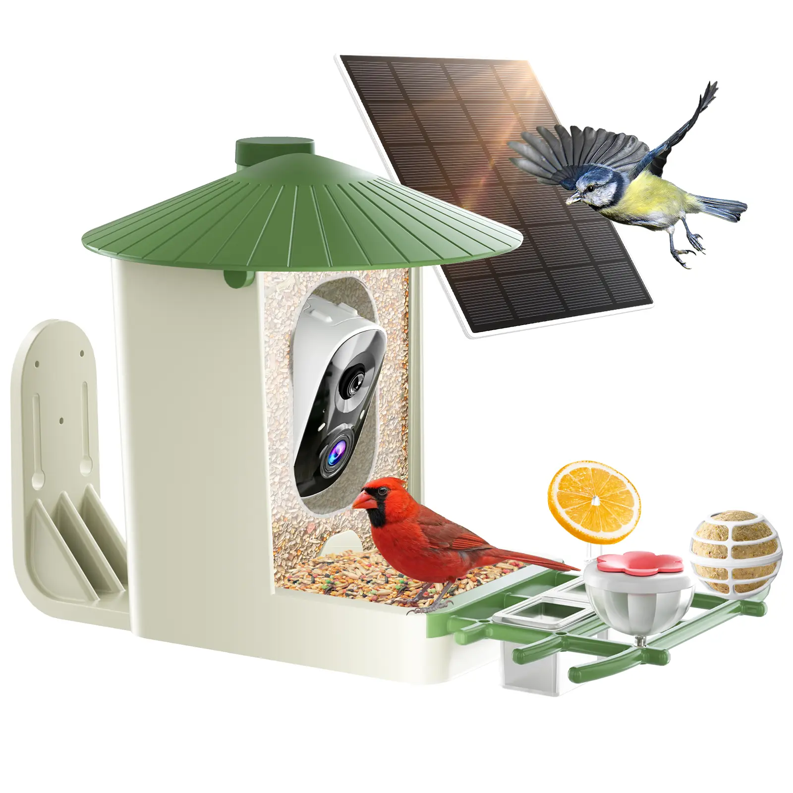 Smart Bird Feeder Camera with Solar Panel - 1.25L– 2K HD Live View, AI Bird Recognition, Real-Time Alerts, Customizable Feeding Options, Wireless Outdoor Gift for Bird Lovers