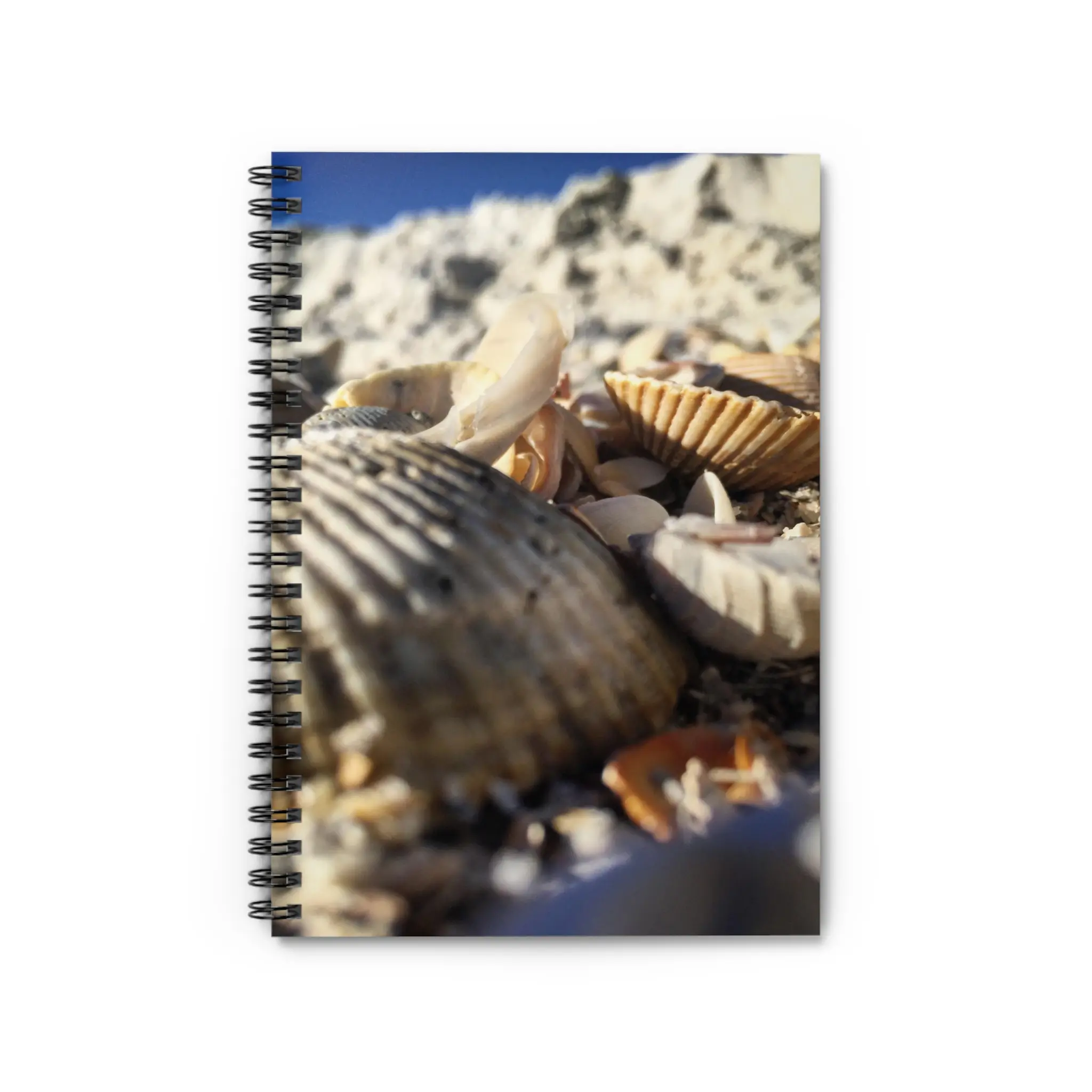 Beach Shells -Spiral Notebook - Ruled Line