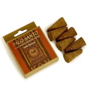 Palo Santo and Cinnamon - Protection & Prosperity -  6 Incense Cones Fragrance Light