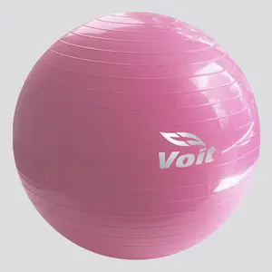 Pilates Ball 26 in – Full-Body Training & Fitness | Pink