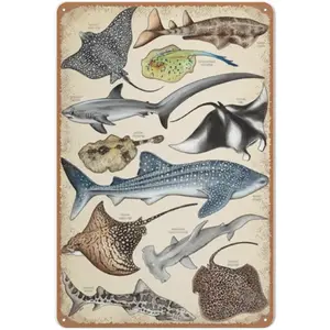 Shark & Ray Poster - Manta Ray Wall Art - Ocean Illustration - Shark Stingray Species, Metal Tinplate Sign Wall Decor - 12*8 inch Decoration Painting Ornaments Artistic
