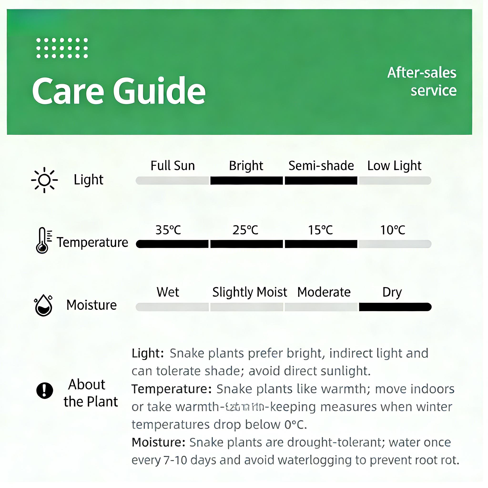 Costa Farms Snake Plant, a live plant with a decorative pot, easy to care for, air-purifying succulent houseplant, perfect for home, room, or office decor, 7-11 inches tall.