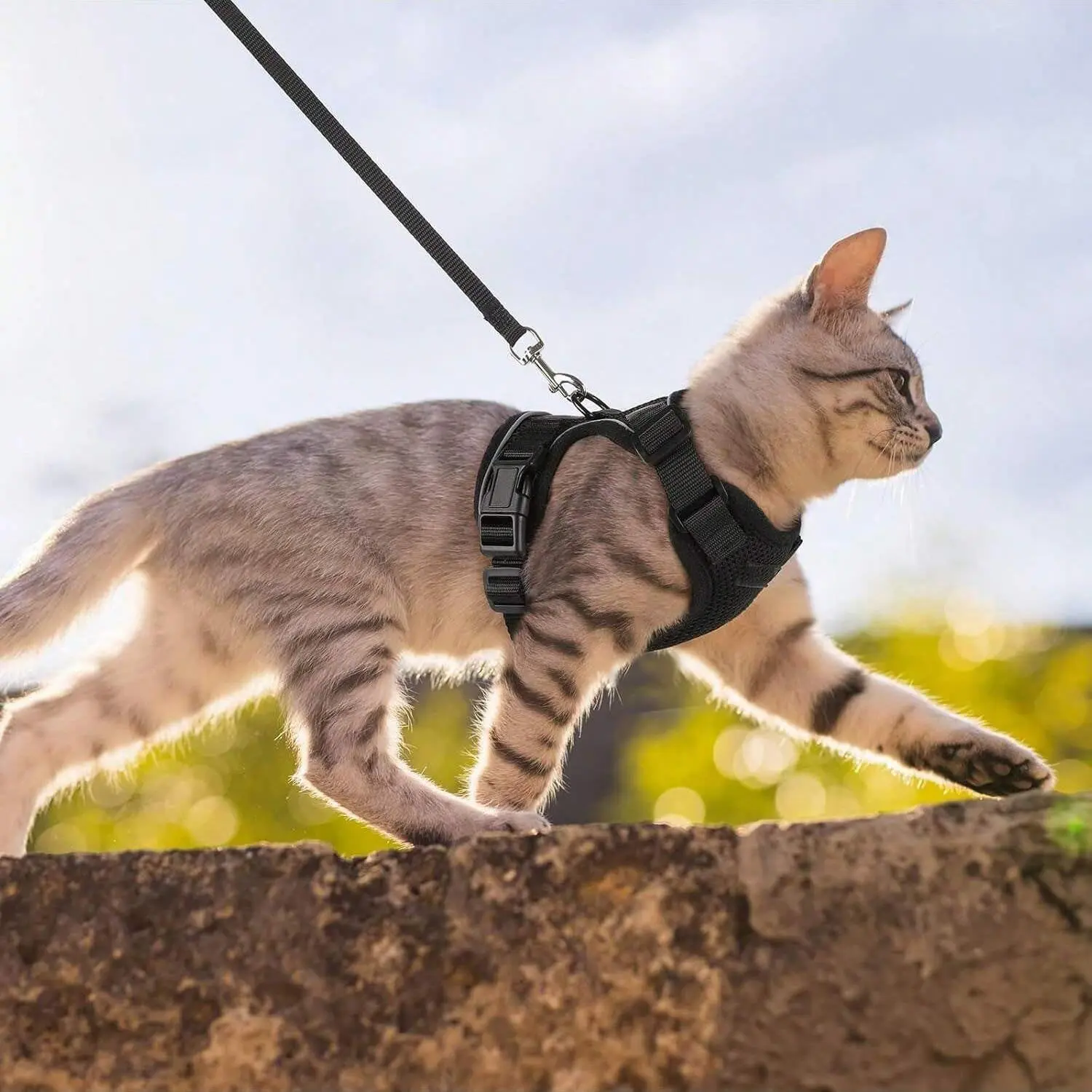 Cat Walking Harness & Leash Set, Kitten Harness And Leash Set, Reflective Strip Harness, Durable Reflective Harness, 1 Set Adjustable Breathable Reflective Cat Vest, Escape-proof Soft Cat Chest Strap, Pet Supplies for Outdoor Walking