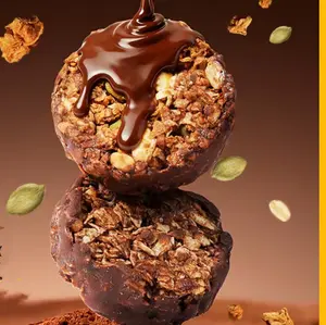 Delicious Chocolate Granola Protein Crunchy Bites, Granola Bars, Snack,  70 Counts