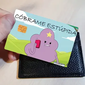 Fun Cartoon Credit Card Sticker Used for EBT, Transportation, Keys, Credit Cards, Debit Cards, Card Skins, Protect Bank Cards, No Bubbles, Suitable for Small Chip Cards
