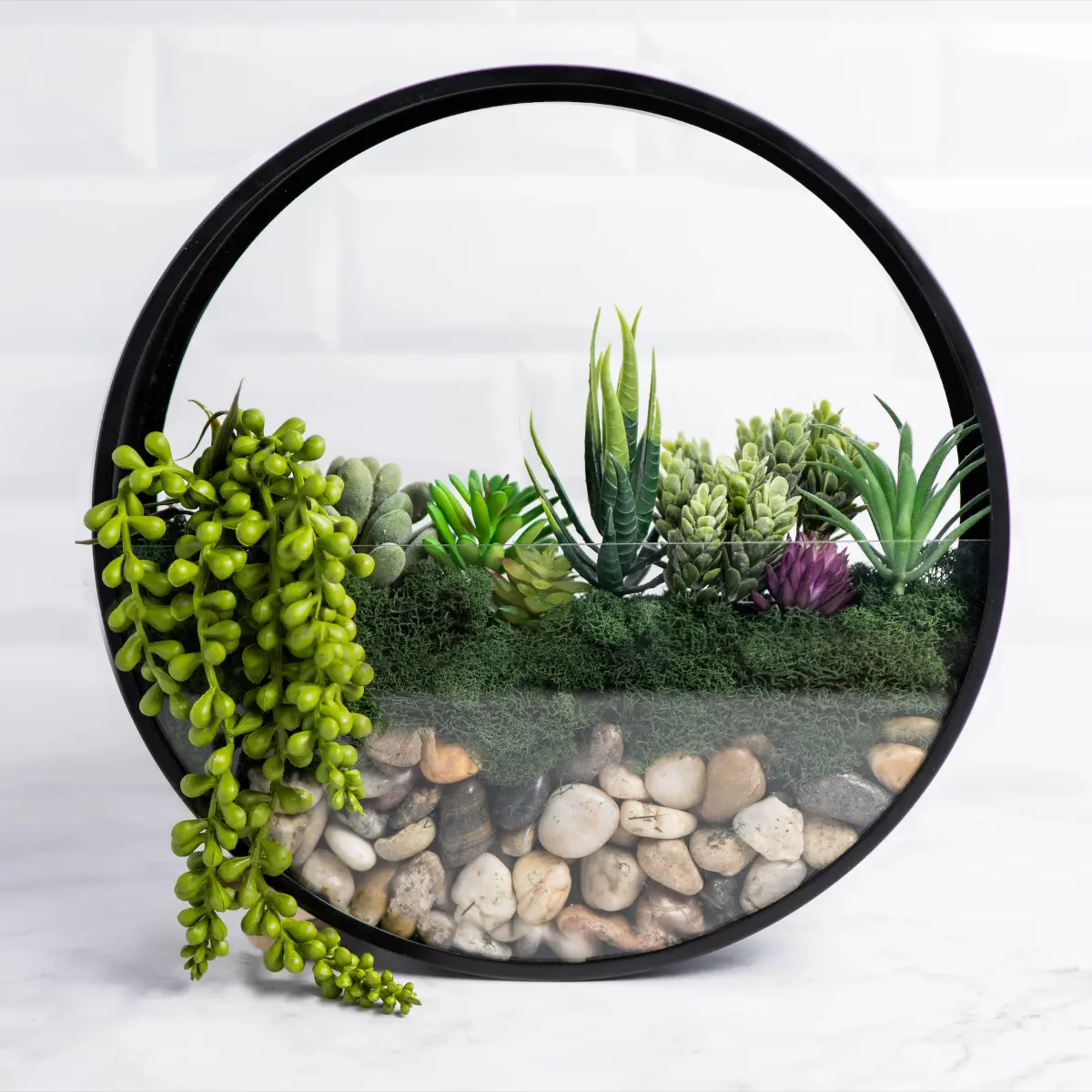 Wall Terrarium Kit Wall Terrarium Kit