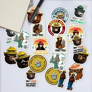 Stickers Pack 20 Pcs Smokey Aesthetic Guitar Bumper Bear Bottle Luggage Laptop Water Car Skateboard Bike Waterproof Colorful Vinyl