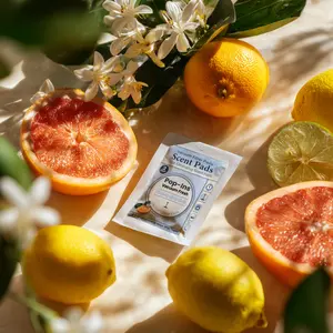 Sunlit Citrus vacuum scent – golden pink grapefruit, orange blossom & lemon zest. Smells like Capri summer nights with heat clinging to stone and skin.