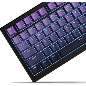 x XVX Shine Through PBT Keycaps, Custom Keycaps 60 75 100 Percent Cherry Profile, Doubleshot Key caps Set for 61/64/68/84/87/100/104/108 Gaming Mechanical Keyboard, Gradient