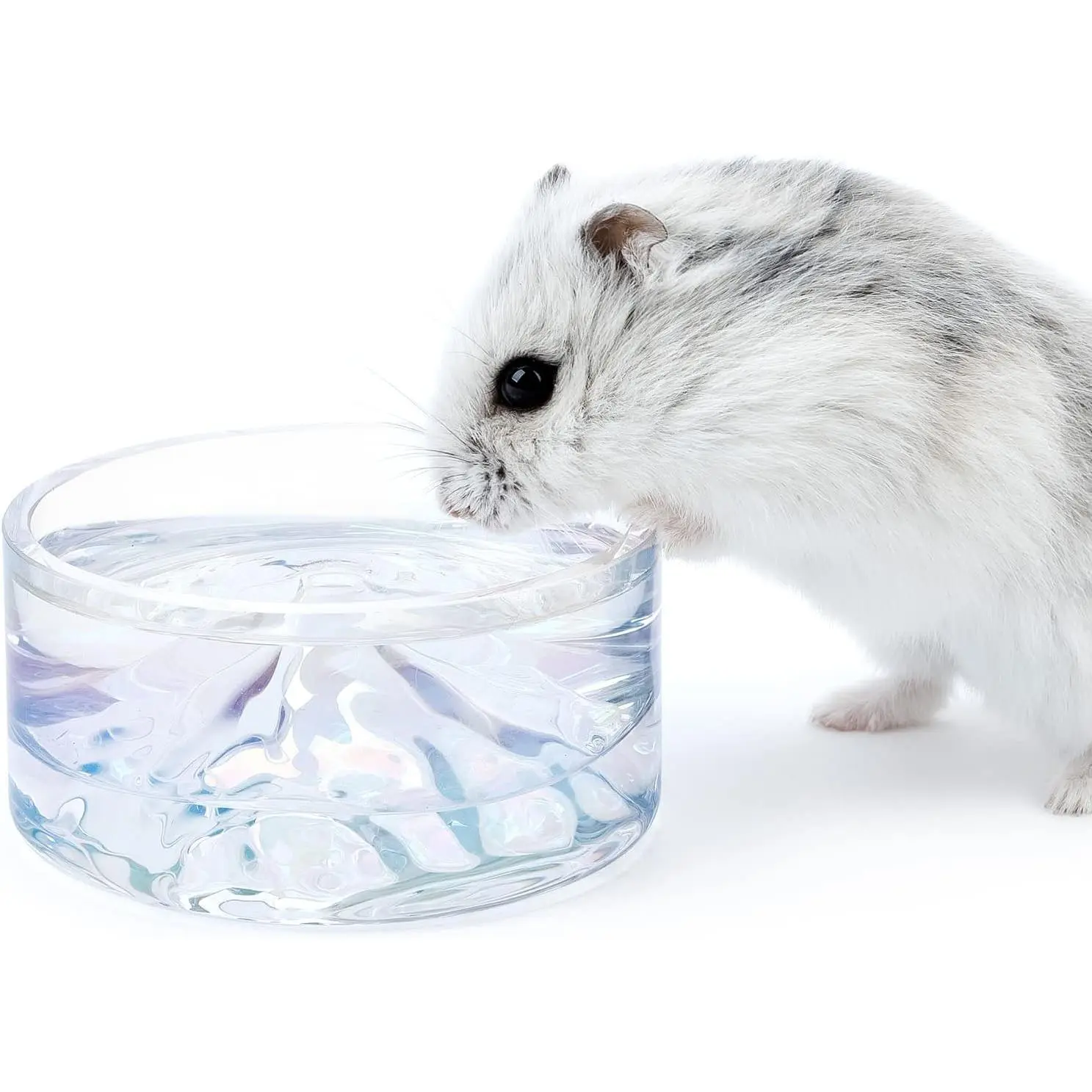 Hamster Feeding & Water Bowls- Mount Fuji Series Glass Drinking Bowls for Dwarf Syrian Hamsters Gerbils Mice Rats or Other Similar-Sized Small Pets