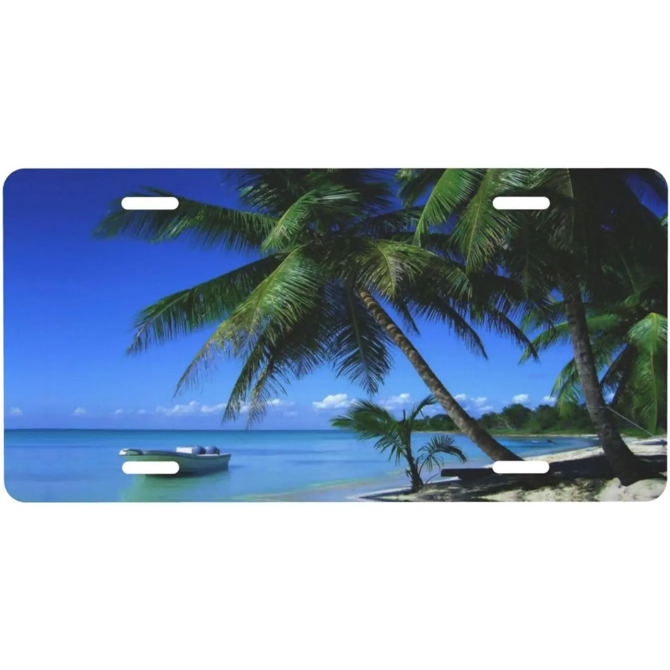 Tropical Ocean Palm Tree