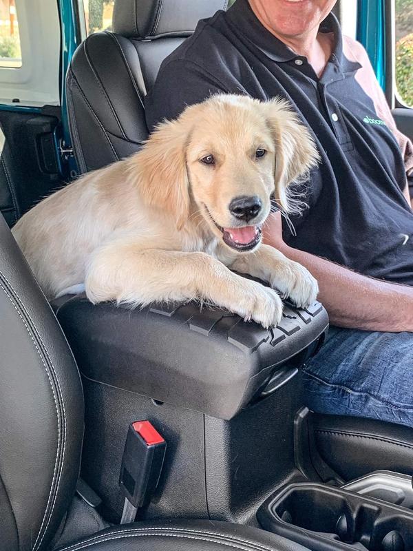 Center Console Armrest Cover Fit for 2018-2024 Jeep Wrangler JL JLU & Jeep Gladiator JT Armrest Storage Soft Mat Pet Antiscratch Mat Cover car  arm  rest  pad Seat Protectors Cushion Truck