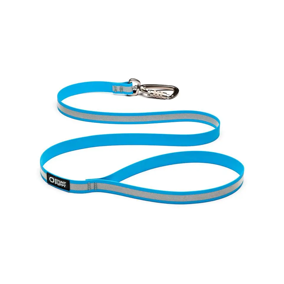 Go Dog Glo™ Dry Leash™