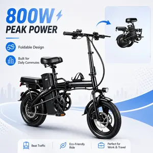 Folding Electric Bike for Adults, Compact Commuter E-Bike, 800W Peak Motor, 50KM Range, Portable Design