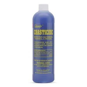 CHASTITY Chasticide Disinfectant - Powerful Germ Killer for Safe Surfaces
