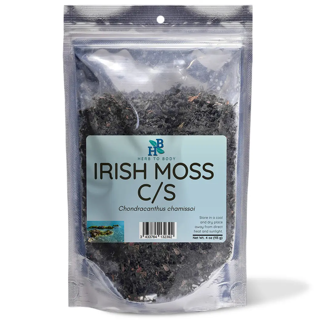 Here To Body Irish Sea Moss C/S | Chondracanthus Chamissoi | 4oz Dried Protein Rich Sea Moss