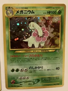Pokemon Japanese Neo Premium File 1 COMPLETE 9-CARD SET Starters MP to LP