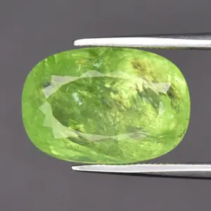 8.86ct ETW Earth-Mined Green Tourmaline – Cushion Cut, Unheated
