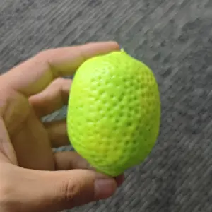 review image 2