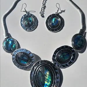 abalone shell  necklace with earrings