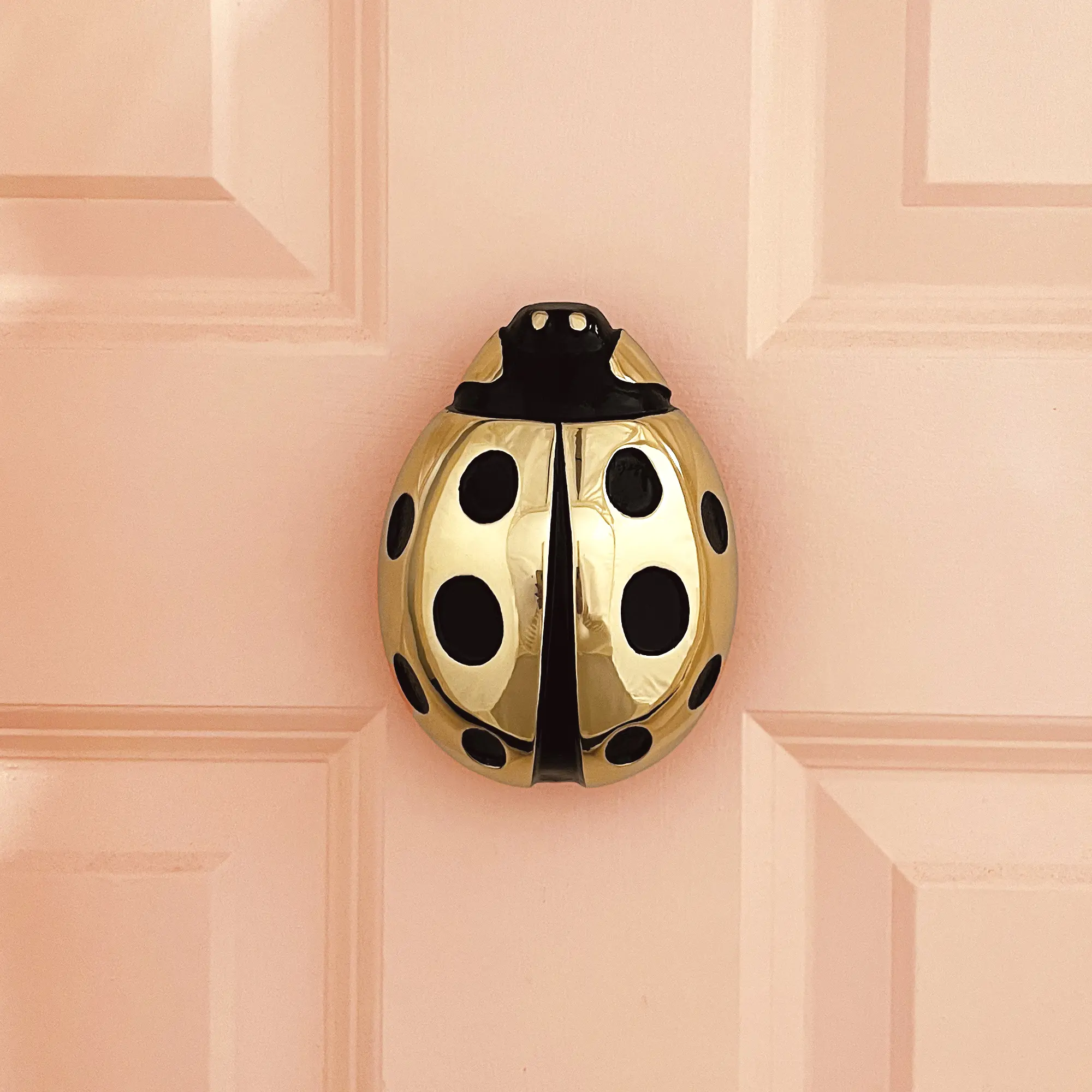 Ladybug Door Knocker by Michael Healy - Solid Brass, Handcrafted, Easy Install