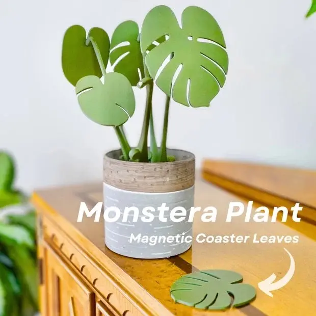 Pavilion3DPrinting 3d Printed Monstera Coaster Plant- Coaster holder  disguised as a beautiful plant! Perfect for kitchens, or any other space in  need of green! - TikTok Shop
