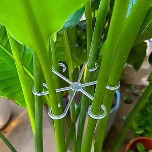 Set of 4 Transparent Plant Supports - Rustic Green Trellis for Climbing Plants And Vegetables | Sturdy Garden Stakes for Both Indoor And Outdoor Use | Naturally Styled Plant Holder with Ground Spikes | Climbing Planting Stand