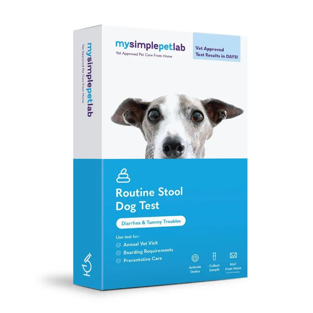 MySimplePetLab Dog Routine Stool Test Kit - Home Health Testing Worms & Giardia