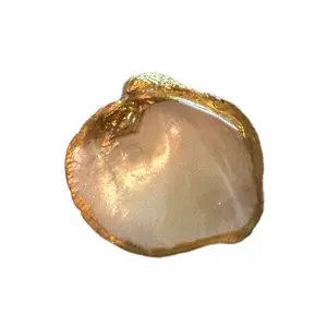 Hand painted gold leaf authentic Louisiana oyster shell trinket dish
