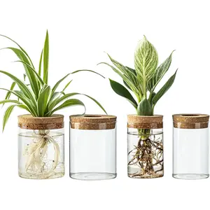 Glass Propagation Stations for  -Desktop Flower Vases,Propagation Flower Vases Set  2 Sizes Planter Propagated Jars,for  Cuttings,for Living Room, Bedroom Decoration,Home,Office Decor(4)