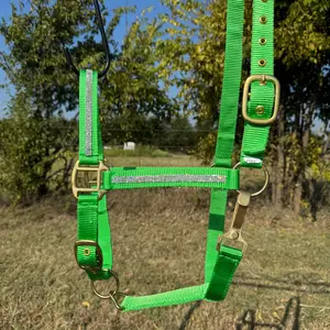 Lime Bling Nylon Horse Halter BNHNGN
