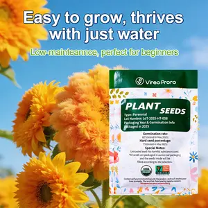 “Teddy Bear Sunflower Garden Seeds – Cheerful, Compact Blooms for Flower Beds & Containers”