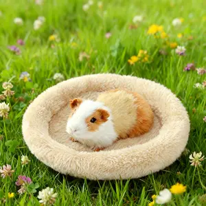 Guinea pig hamster warm plush nest Dutch pig golden bear winter sleeping nest pet soft and comfortable Fluffy Cloud Bed round nest