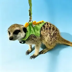Zoomie Zone Ferret Harness and Leash Set Adjustable Escape Proof Soft Comfortable Small Pet Walking Vest Harness Universal Outdoor Walking Chest Strap for Squirrel Ferret Small Animals Outdoor Indoor Travel Supplies