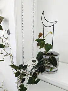 Crescent Moon Plant Trellis – 18" x 6" Metal Support for Indoor & Outdoor Plants | Witchy Decor Gift for Plant Lovers