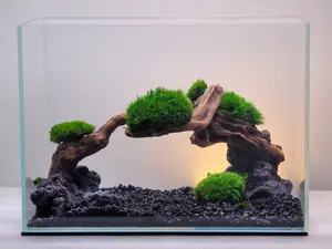 Nano Tank Aquascape Driftwood On Rock Aquarium Decor Handmade For Aquatic Live Plants Planted Fish Tank Ornament