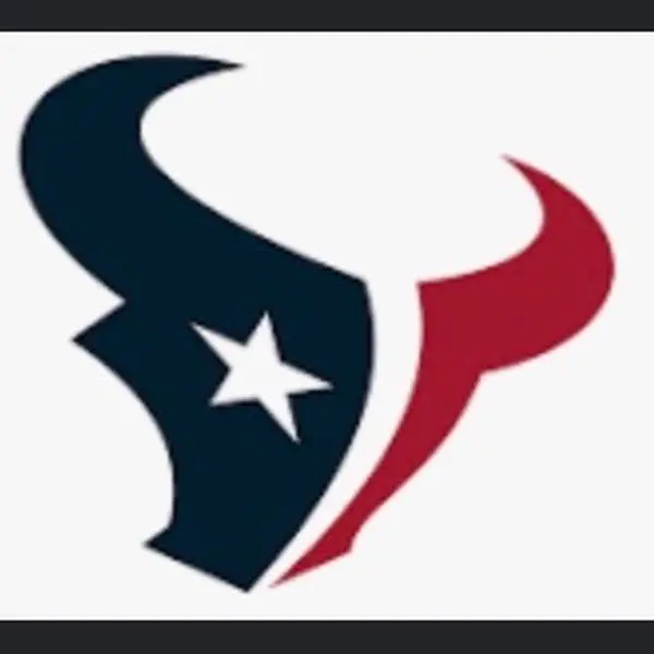 Texans- Authentic Helmet Break