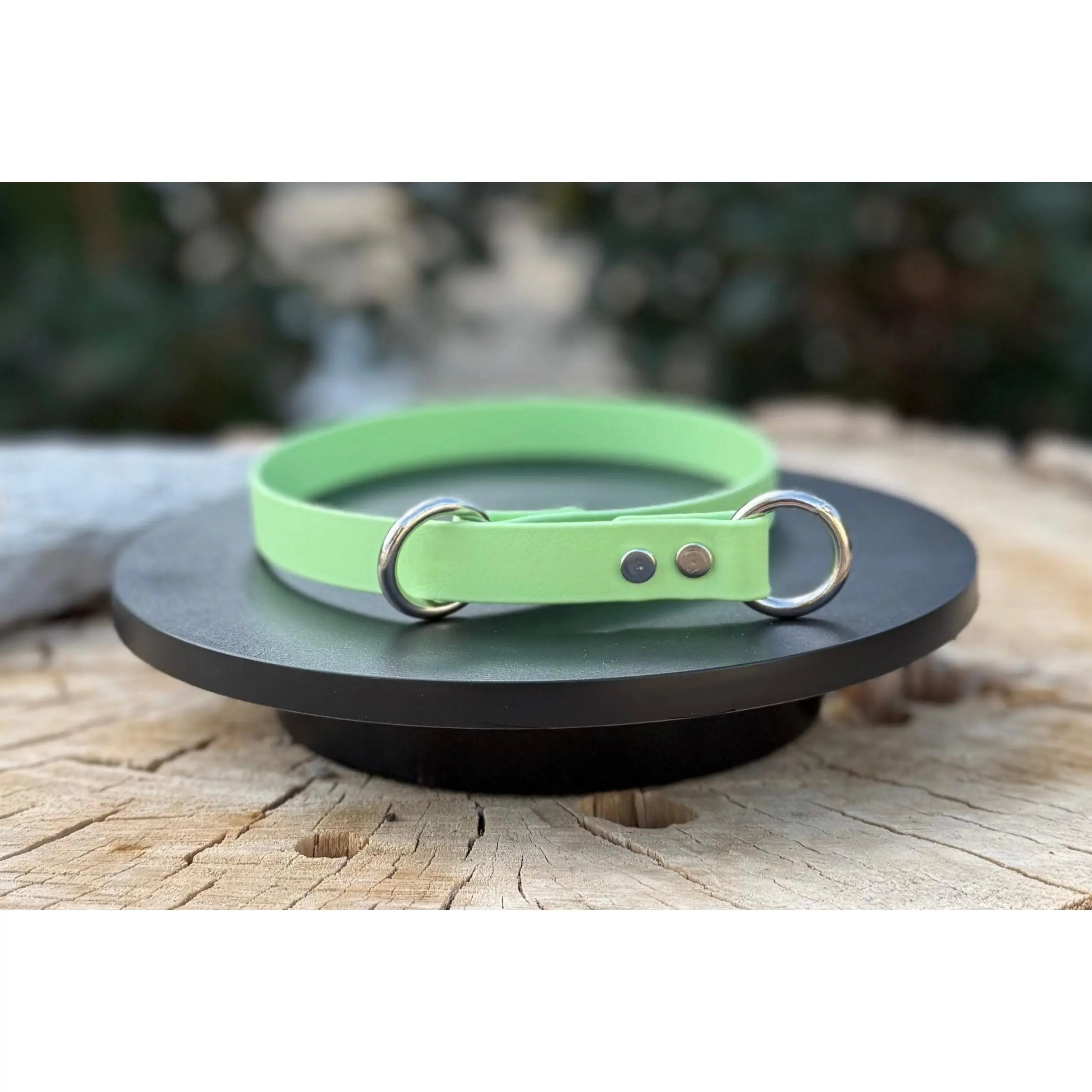 Biothane® Slip Collar | 1/2" & 5/8" Waterproof Training Collar