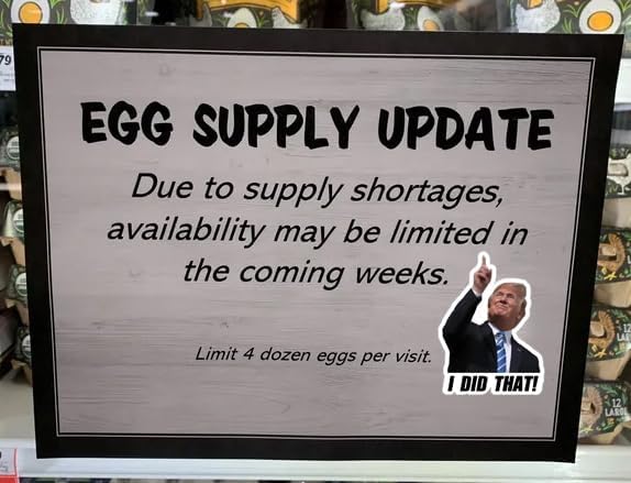 Trump I Did that Stickers,  I Did that Trump Sticker 100PCS—Stick Them Anywhere